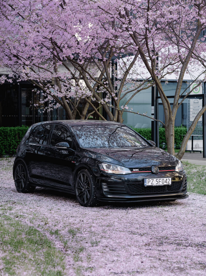 Czarny Volkswagen stoi pod drzewem z różowymi kwiatami. 
