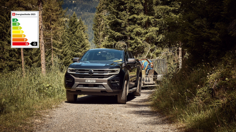 Der VW Amarok mit Anhänger auf einem Waldweg
