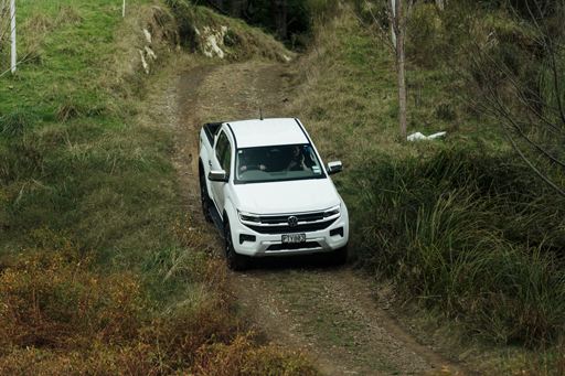 Amarok climbing hill