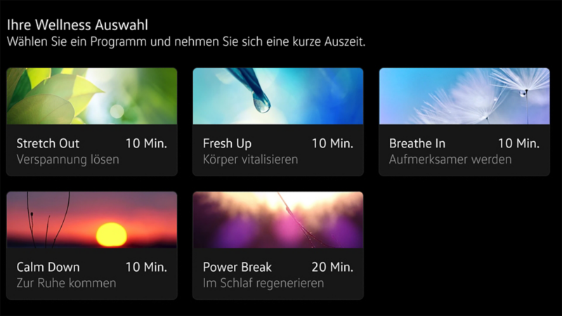 The screen of the infotainment system shows the functions of the Wellness In-Car App.