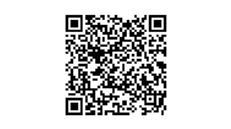 QR-ID-Polo-AI-Agent