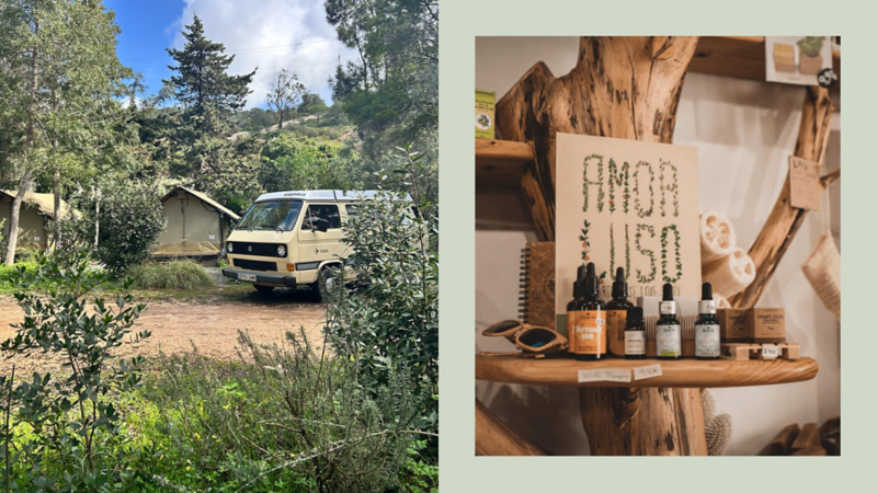 Collage de deux images. À gauche : un van aménagé VW Bulli vintage sur le camping, entouré de plantes et d'arbres. À droite : une vue de la boutique du camping avec ses produits durables.