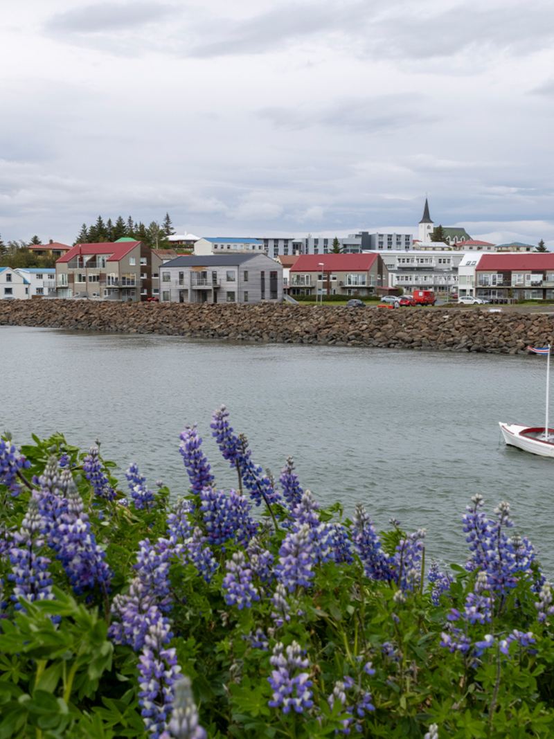 L'Islanda è scarsamente popolata al di fuori di Reykjavik, il che rende i pochi insediamenti, come la piccola città portuale di Borgarnes, ancora più affascinanti.