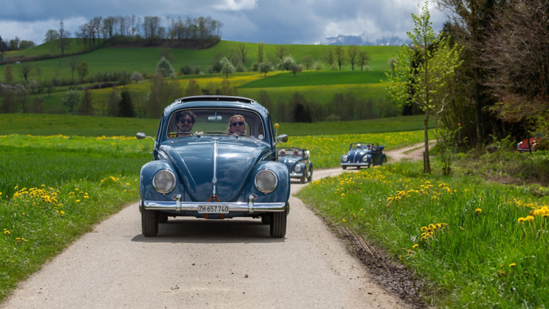 Mehrere VW Käfer fahren auf der Strasse