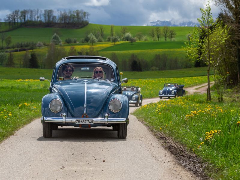 Plusieurs Coccinelles VW roulent sur la route