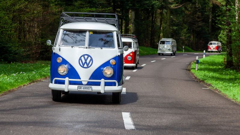 Die VW Bulli Karawane fährt über eine Landstrasse