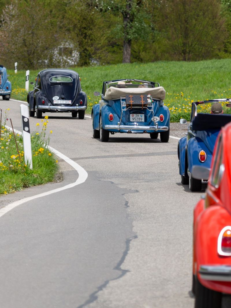Diversi Maggiolini VW alla guida su una strada di campagna