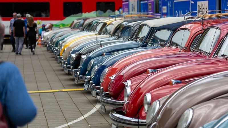 Mehrere VW Käfer stehen in einer Reihe