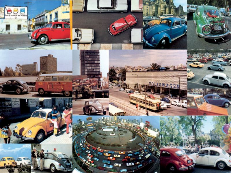 Collage con diferentes fotografías de Volkswagen Type1