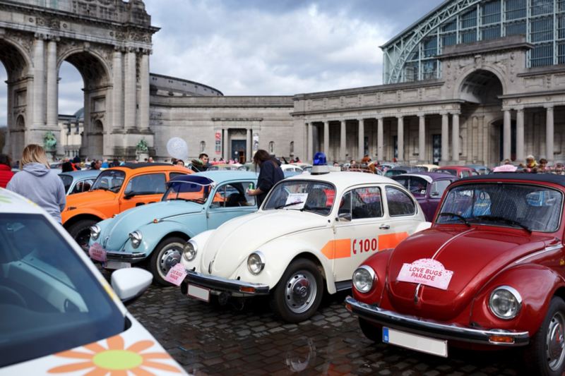 Geparkeerde Volkswagen Kevers op de Love Bugs Parade
