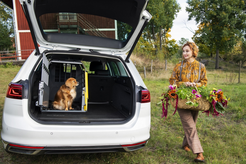 Hunden Ester vid sin hundbur från Volkswagen