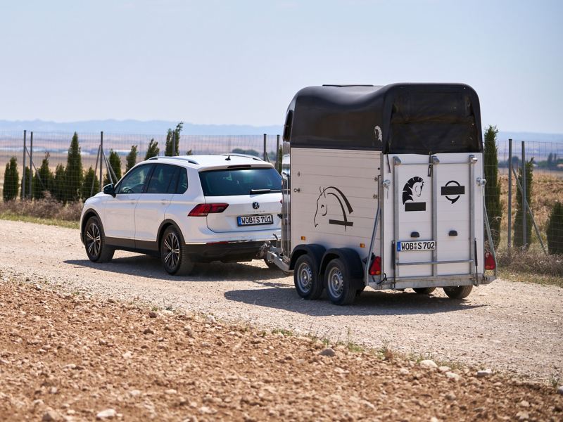 VW Auto zieht Pferdeanhänger hinter sich her, dank Anhängerkupplung – VW Transportlösungen