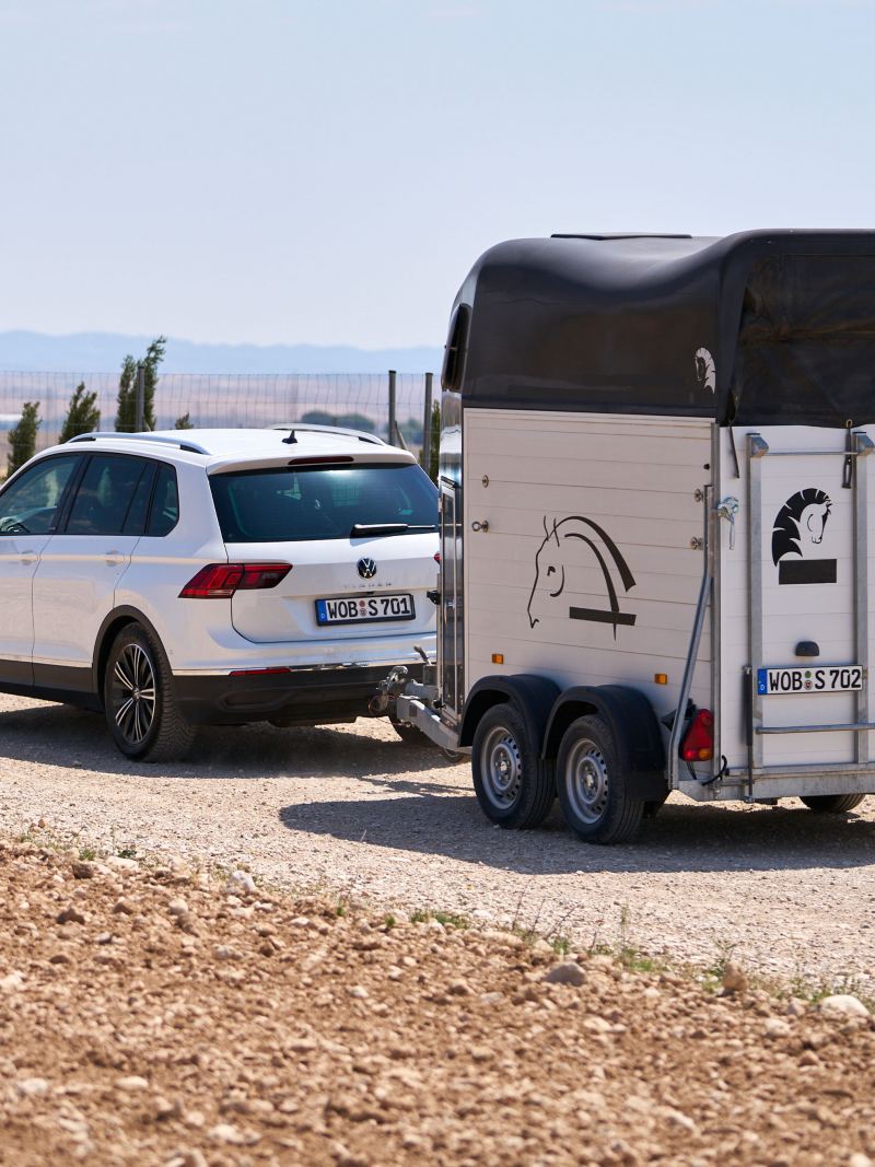 VW Auto zieht Pferdeanhänger hinter sich her, dank Anhängerkupplung – VW Transportlösungen