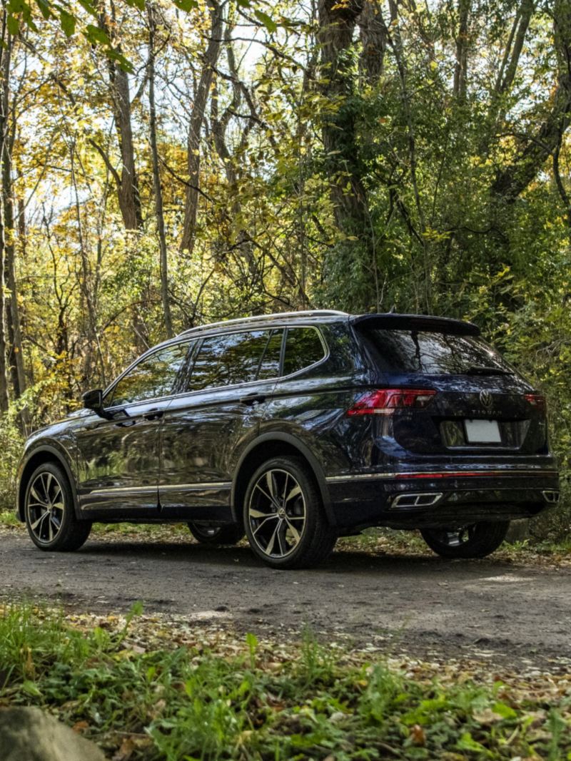 The 2024 Volkswagen Tiguan parked in a forest