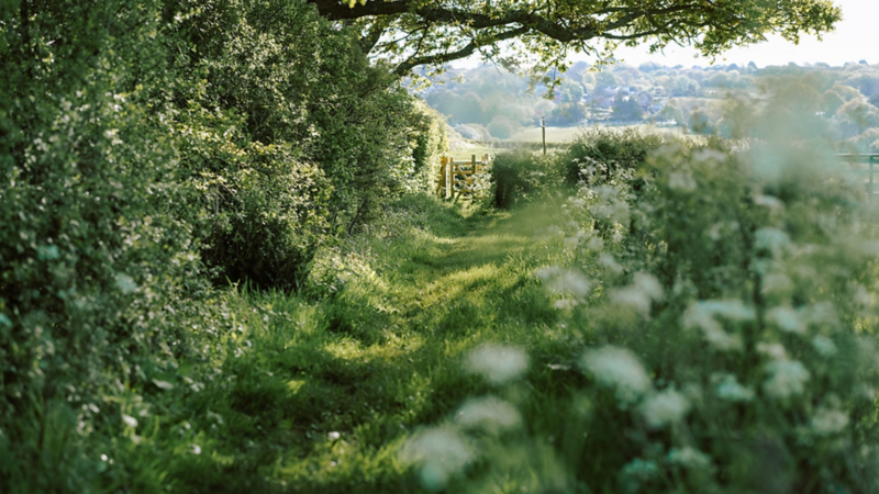 Photo showing a countryside landscape. 