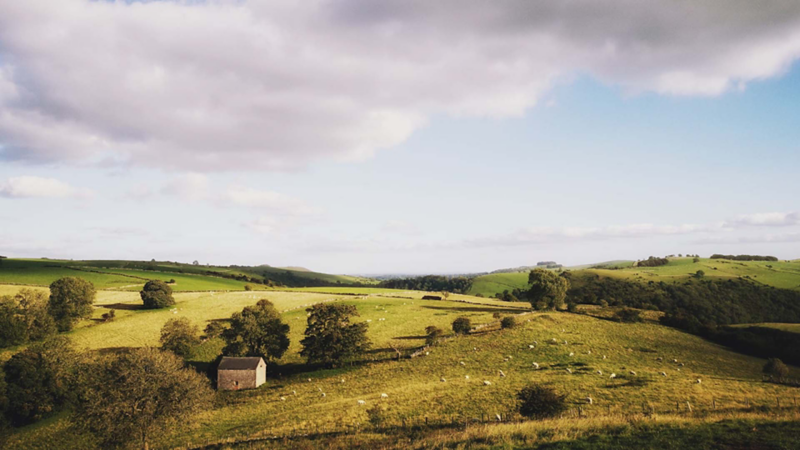 Photo of a countryside landscape. 