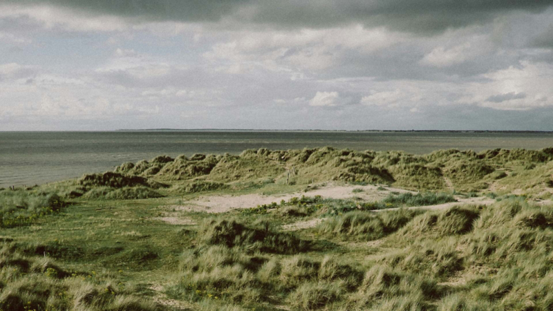 Photo showing a field against an ocean background. 