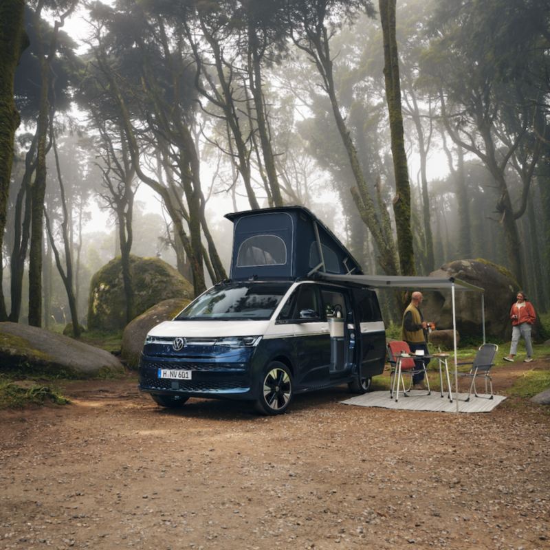 Volkswagen California