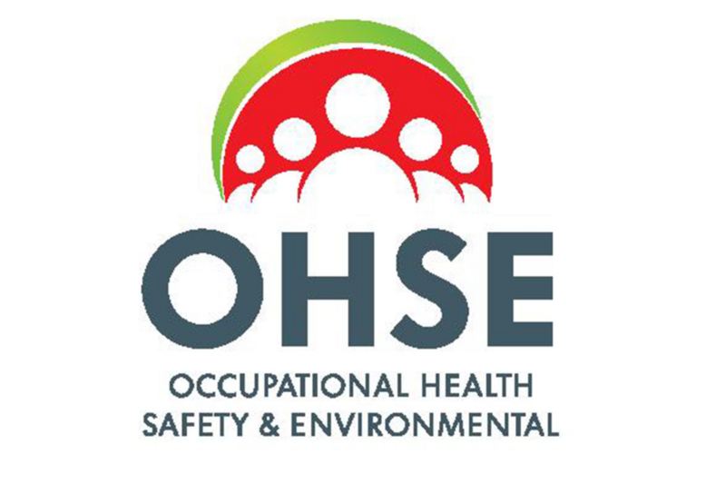 OHSE Logo Artwork
