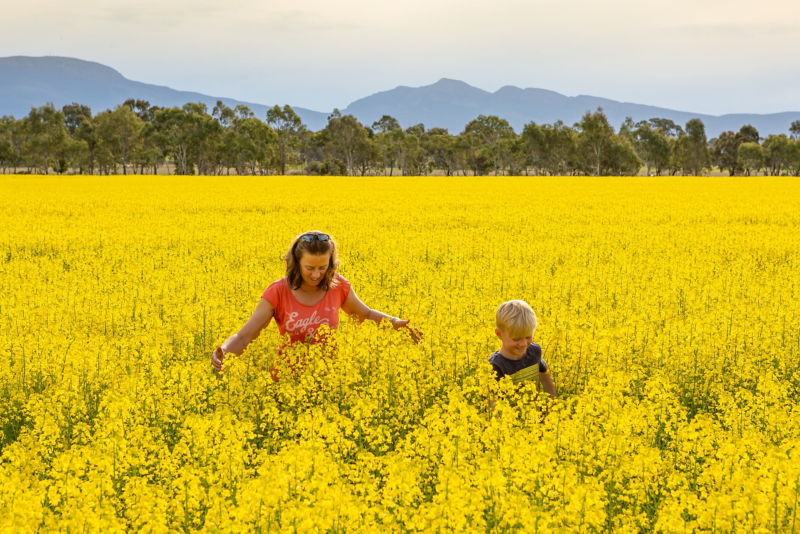 Field with mother and son walking through