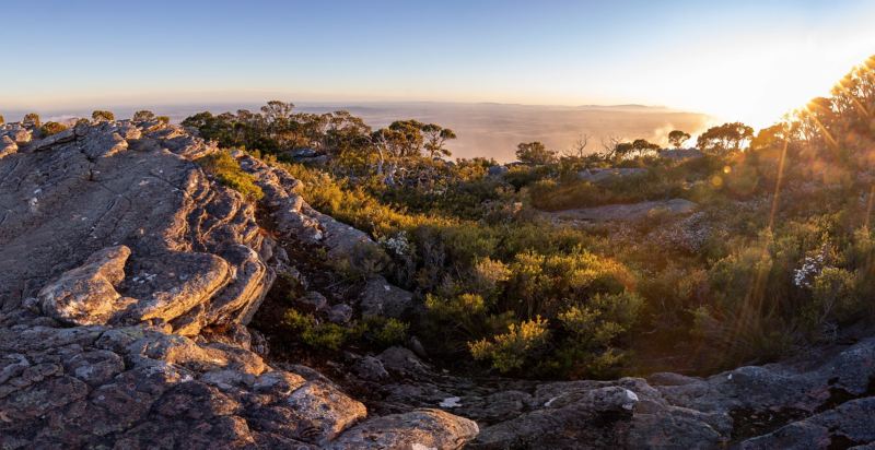 View of the Grampians at sunrise