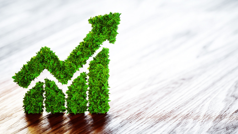Escopos Plantas VW do Brasil