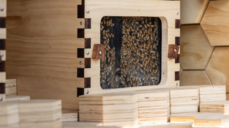 Bee hive close up