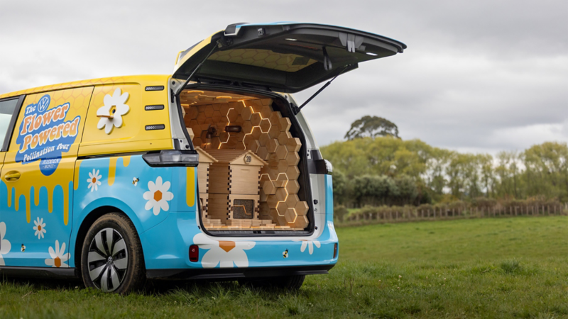 Polly's boot with bee hives