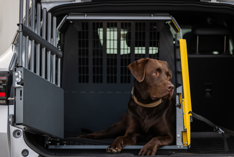 Närbild på en hund i en öppen hundbur i bagageutrymmet på en ID.4.