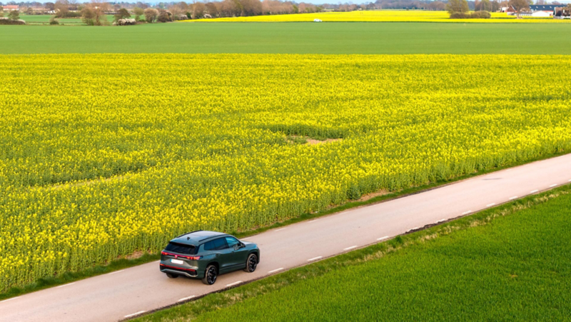 En Volkswagen Tayron kör lngs en väg kantad av blommande rapsfält