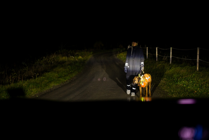 En hund med sin ägare i mörkret, prydda med reflexer.