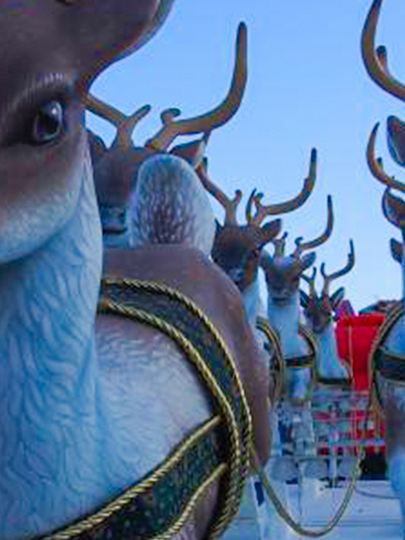 Reindeer with red nose