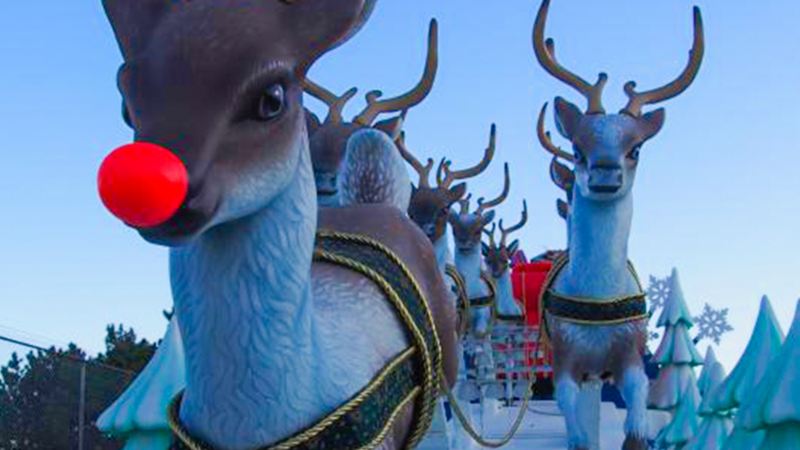 Reindeer with red nose