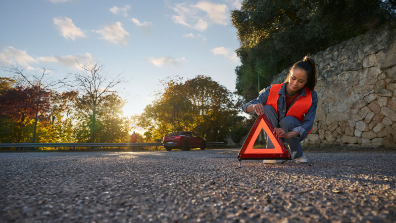 Woman assisting driver with roadside assistance 