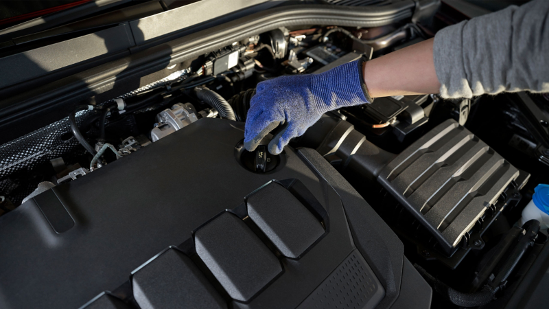 A VW service employee checks the oil level of a Volkswagen – oil knowledge