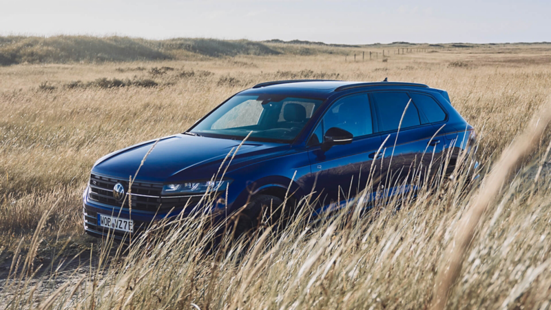 A dark blue Touareg parked amidst a meadow of tall dry grass