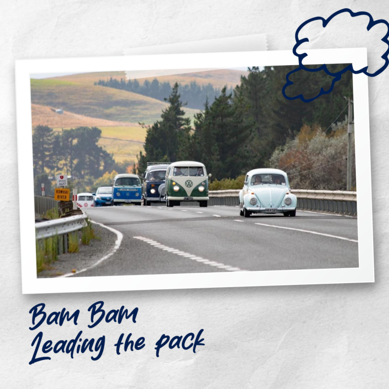 Bam Bam the Beetle 2