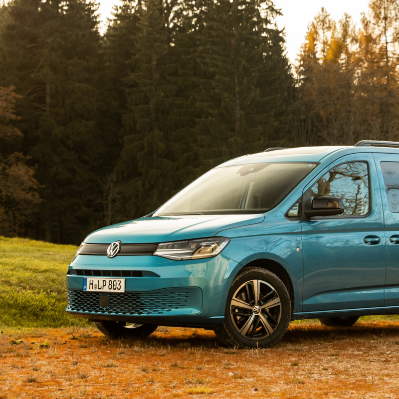 Der VW Caddy California steht auf einer Waldlichtung.