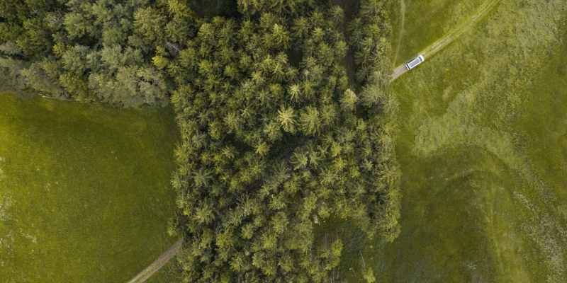 Camper auf einem Waldweg.