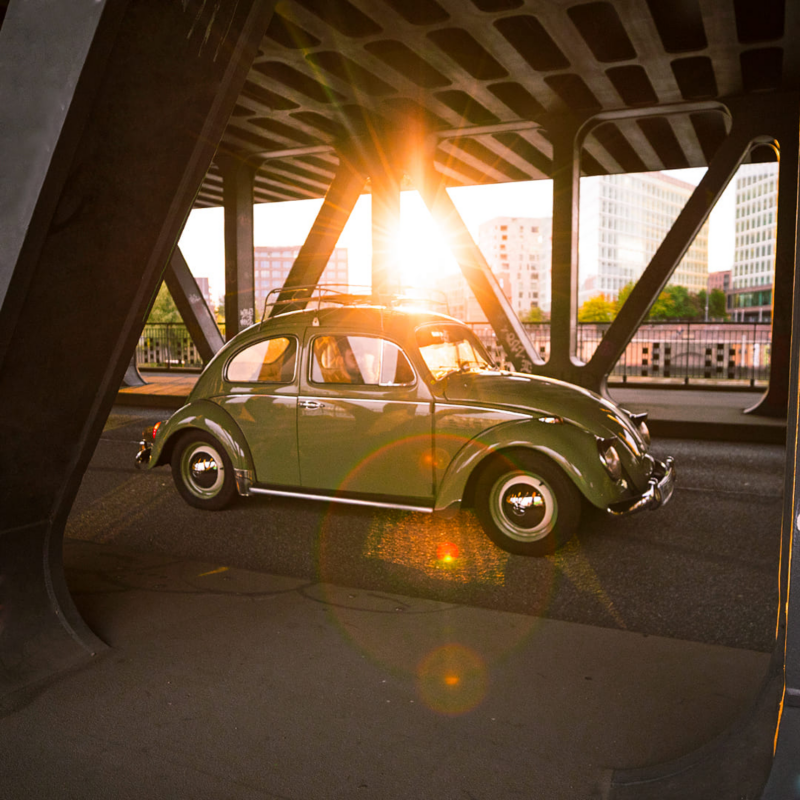 Une Coccinelle sous la lumière du couché de soleil