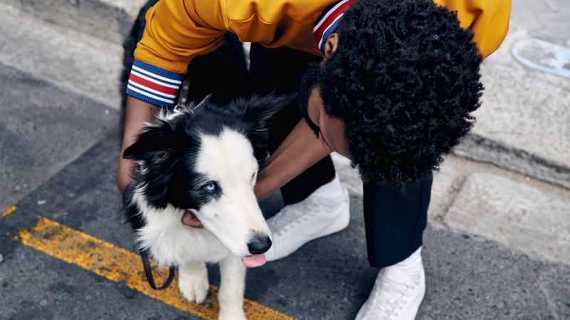 Man hold his dog