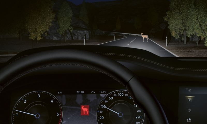 Rappresentazione grafica della visuale notturna attraverso il parabrezza di un'auto Volkswagen, con fari accesi e sistema 'Nightvision'.
