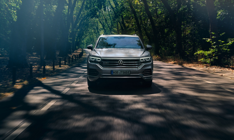 Touareg w lesie.