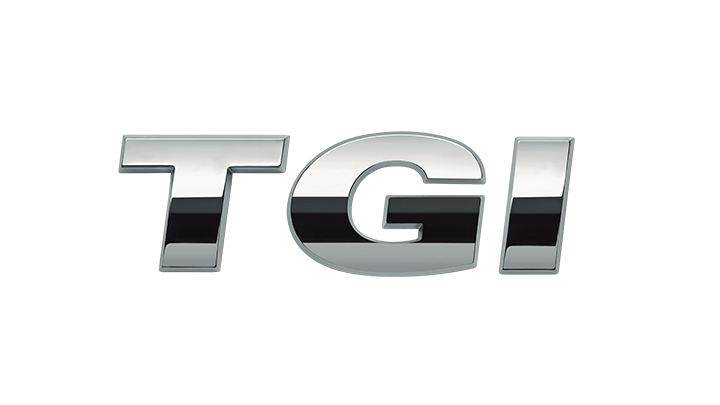 TGI logo