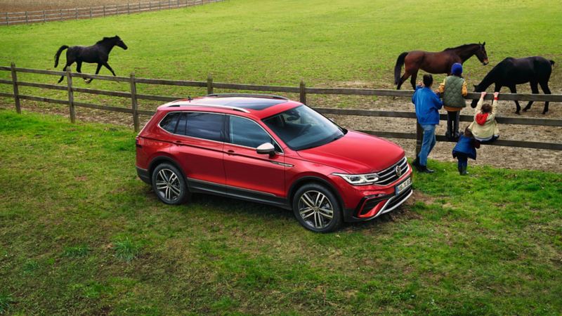 Ein roter Tiguan Allspace Elegance steht an einer Pferdekoppel