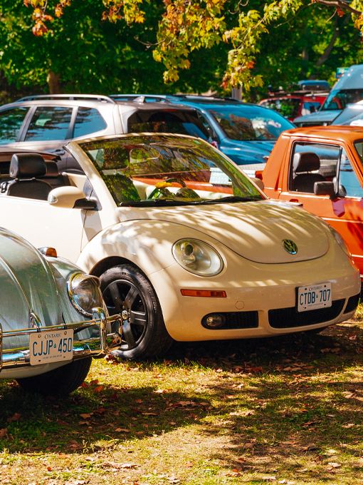 A group of vintage Volkswagen vehicles parked side by side