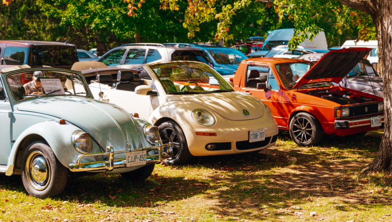 A group of vintage Volkswagen vehicles parked side by side