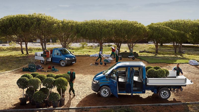 Volkswagen Transporters in the garden