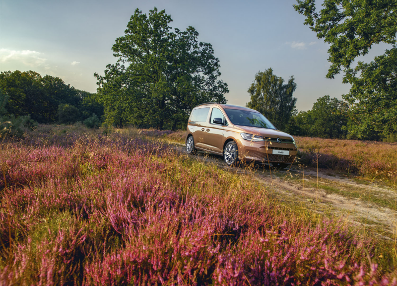 Touareg