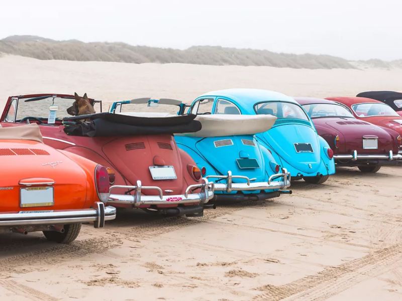 VW beetles lined up near beach.